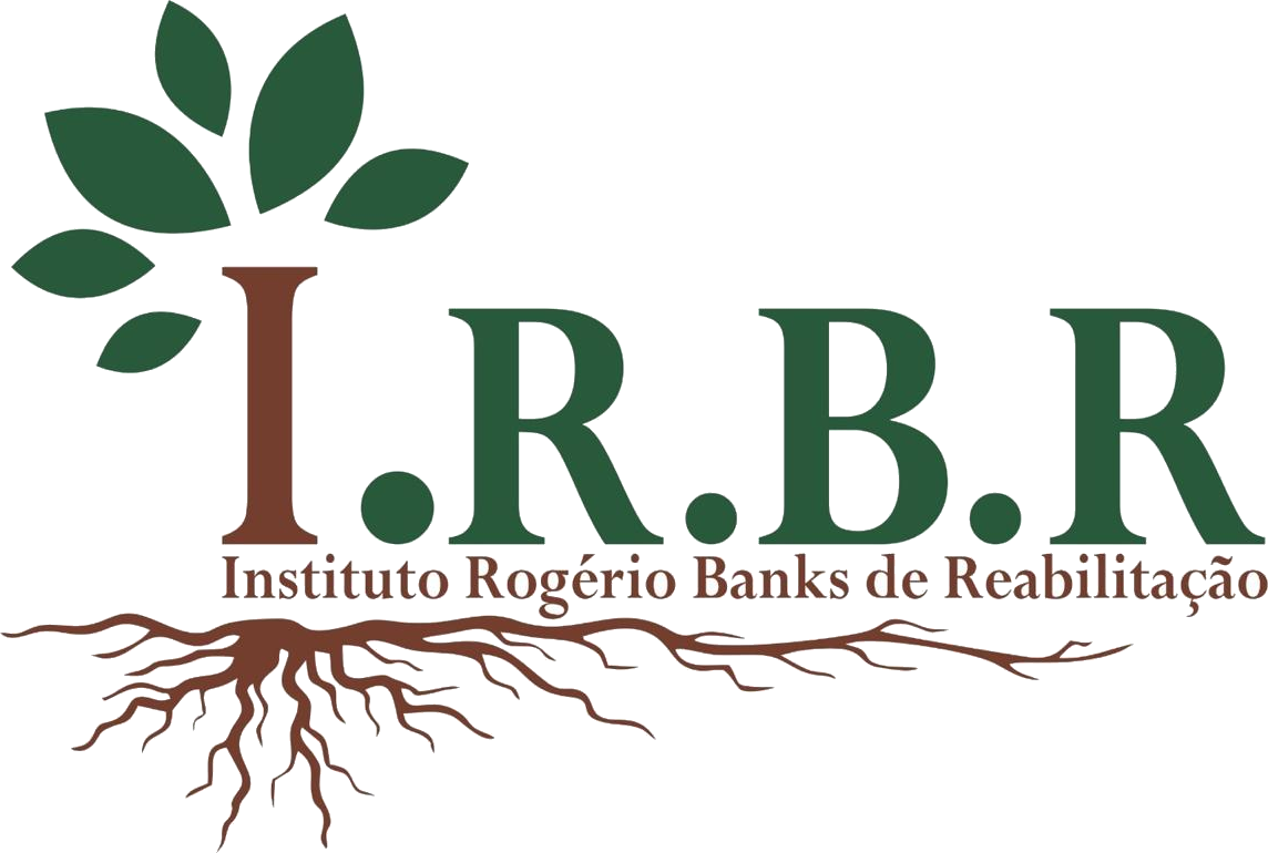 Agenda IRBR
